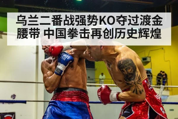 boxer knockout punch