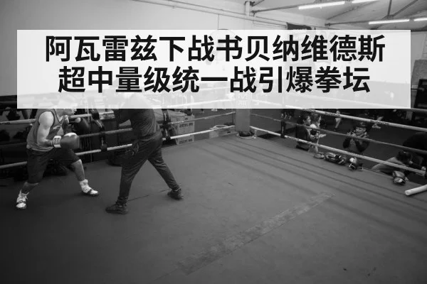 boxer training gym