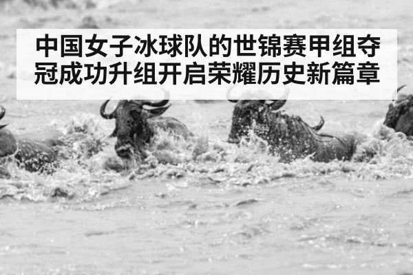 中国女子冰球队的世锦赛甲组夺冠成功升组开启荣耀历史新篇章